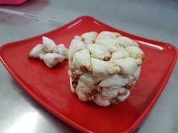 Peninsular Fisheries Pvt Ltd