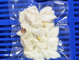 Peninsular Fisheries Pvt Ltd