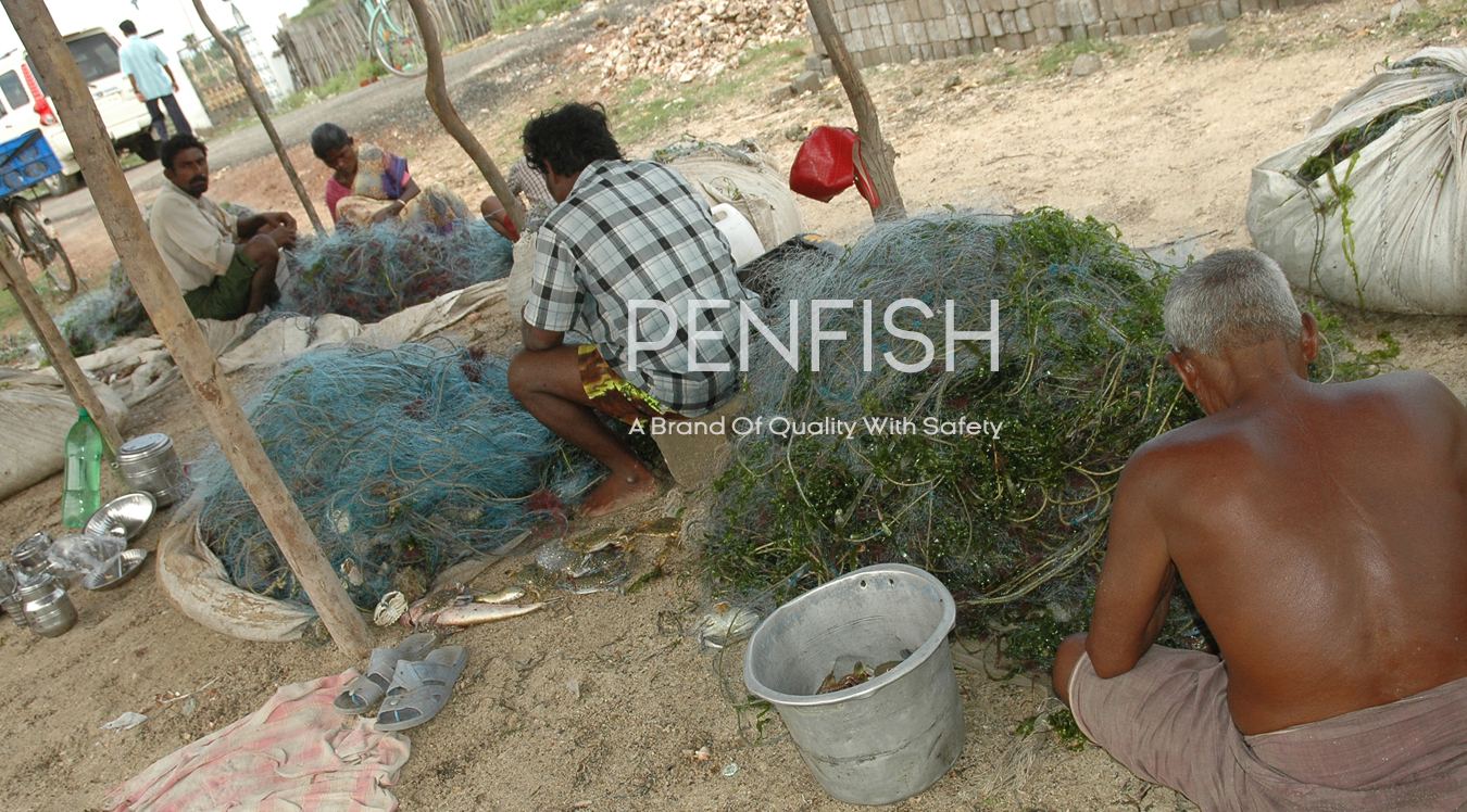 Peninsular Fisheries Pvt Ltd