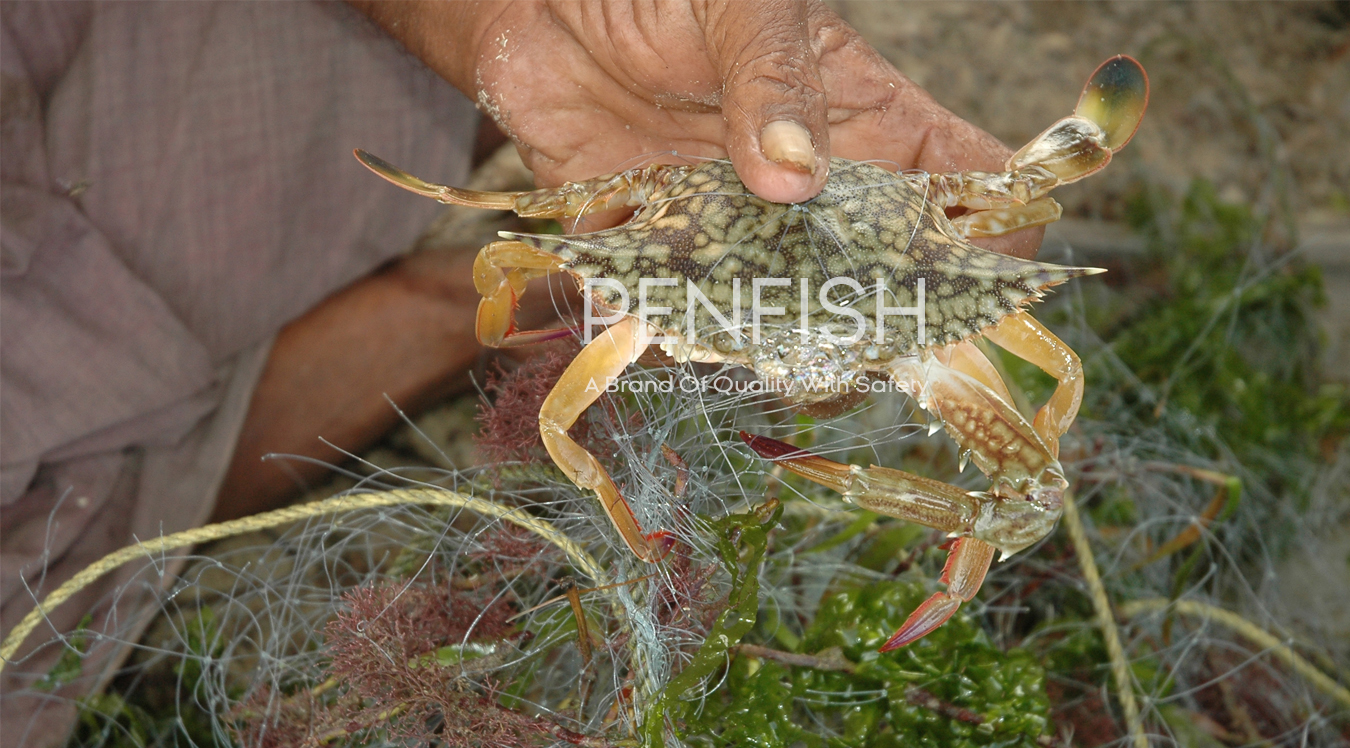 Peninsular Fisheries Pvt Ltd