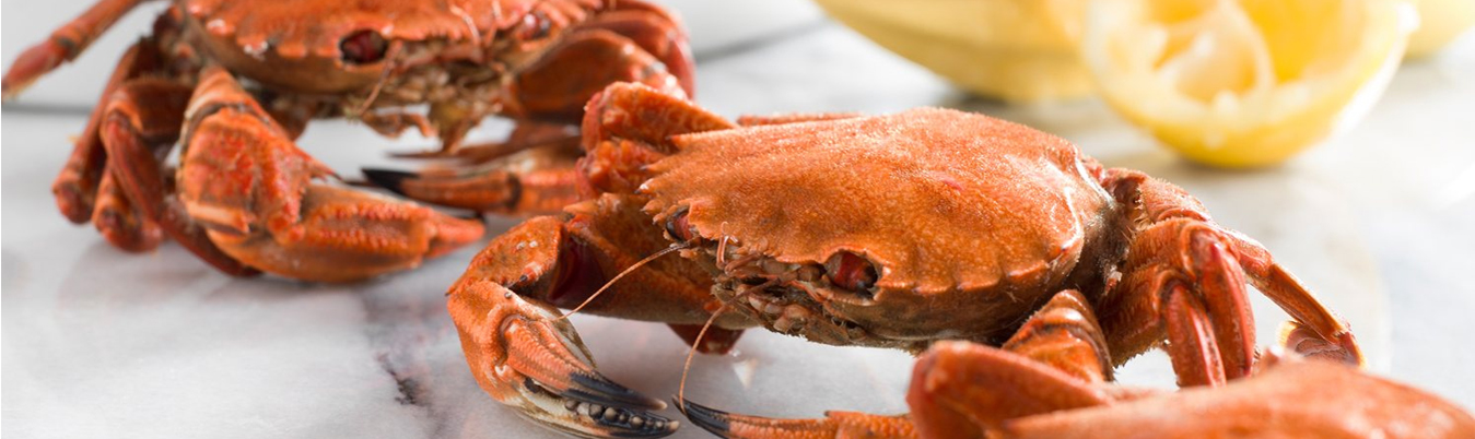 Peninsular Fisheries Pvt Ltd