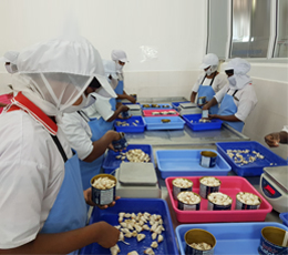 Peninsular Fisheries Pvt Ltd