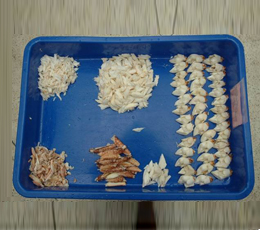 Peninsular Fisheries Pvt Ltd