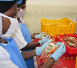 Peninsular Fisheries Pvt Ltd